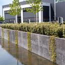 dcw beton project keerwanden rijnsburg 6