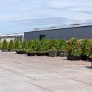 dcw beton project entree vert 7