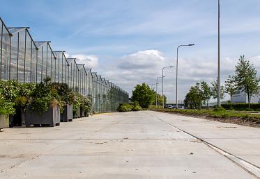 dcw beton project entree vert 2